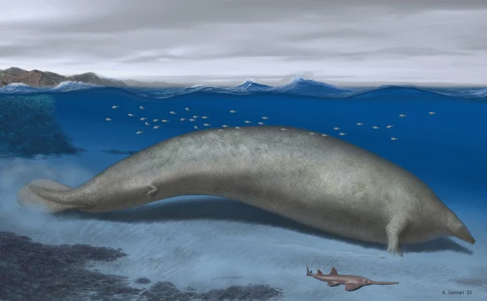 whale-1