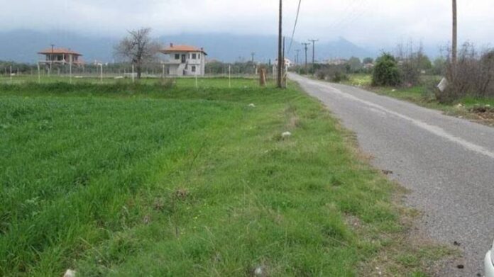 oikopeda