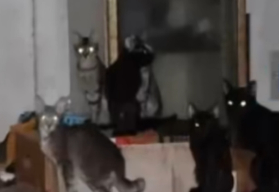 Screenshot_20251112_204646_Facebook