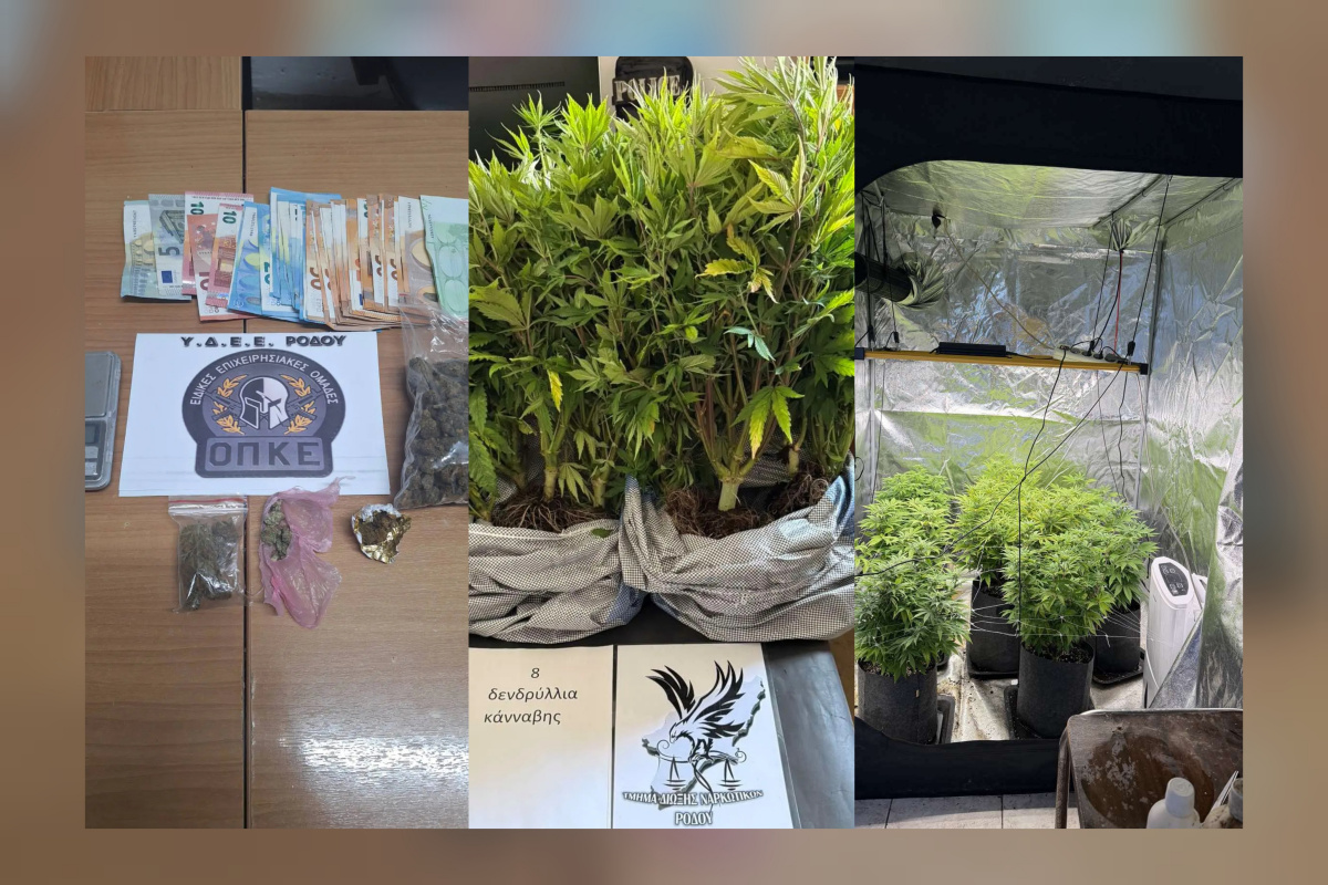 InCollage_20260316_123413851