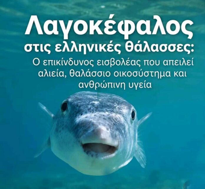 lagokefarodos