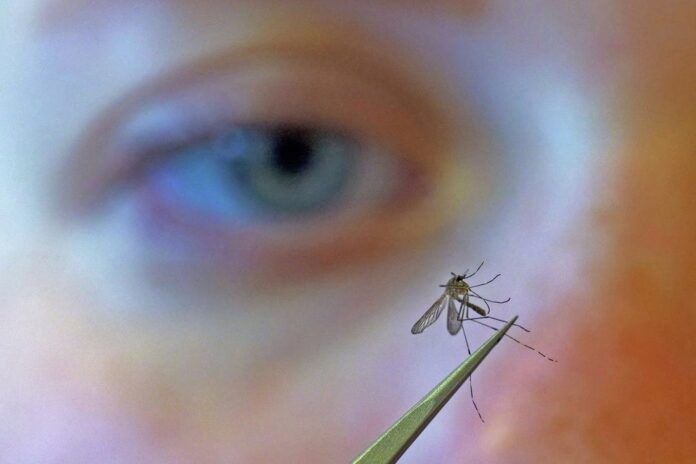 West Nile Virus