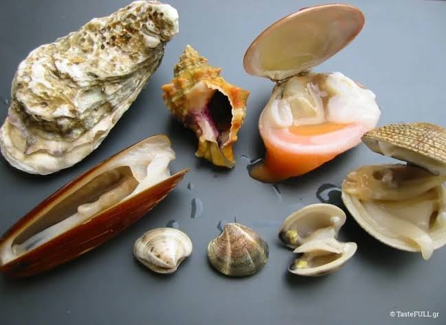images (1)